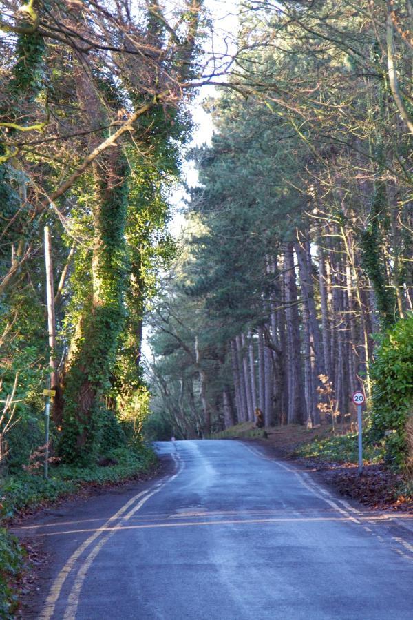 Formby Pinewood Studio Exterior foto
